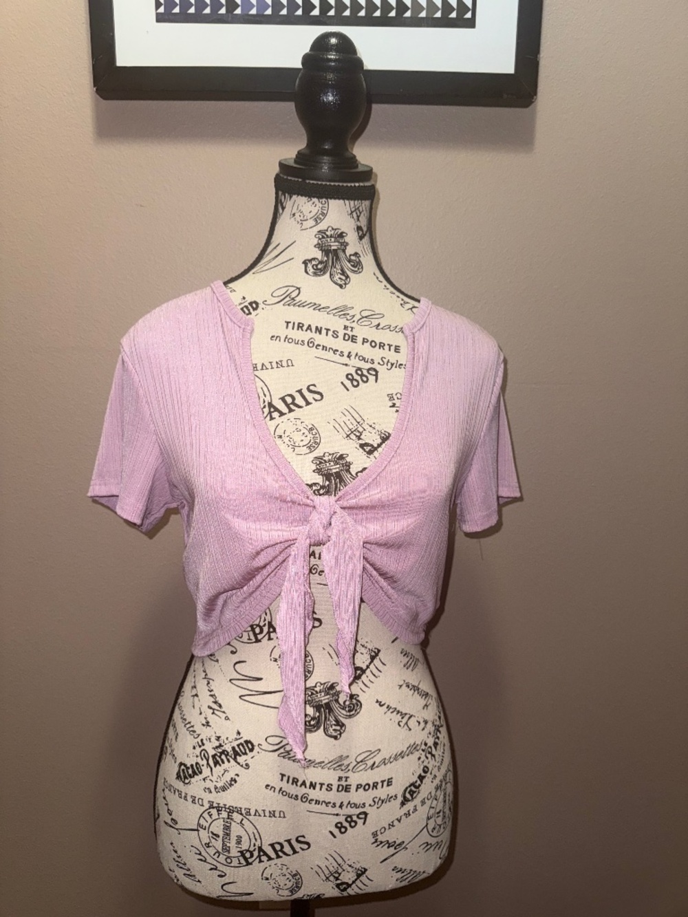 SHEIN Dusty Pink Metallic Ribbed Tie Front Crop Top Size Large Y2K